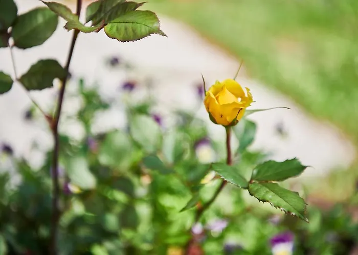 Stazione 8 3* Aurisina